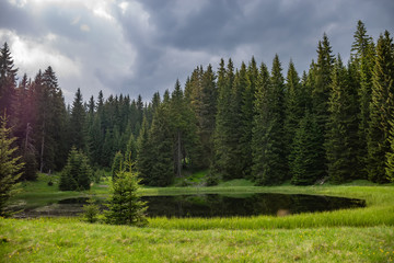 The picturesque little lake is located far away in the forest.