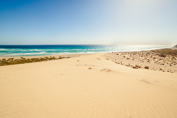 Fototapeta na wymiar Sotavento beach on fuerteventura canary island in spain. View from large dune.