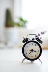 Close-up of black alarm clock with lavender flower, on bokeh background.