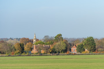 Horses working on the Town Canter racehorse training gallops at Newmarket, England.