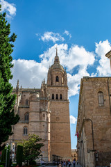 Fototapeta na wymiar Tower of the cathedral of Salamanca in the historic center of the city