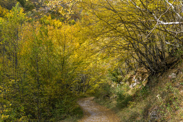 Obraz premium Autumn view of Ecotrail Struilitsa and Devin River gorge, Smolyan Region, Bulgaria
