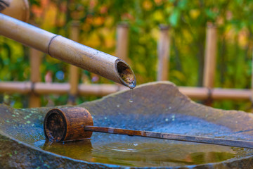 Bamboo washing 