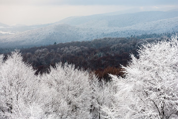 Bieszczady Mountains, Bieszczady National Park, Carpathians Mountains, Poland and Ukraine