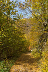 Fototapeta na wymiar Autumn view of Ecotrail Struilitsa and Devin River gorge, Smolyan Region, Bulgaria