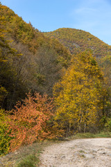 Autumn view of Ecotrail Struilitsa and Devin River gorge, Smolyan Region, Bulgaria