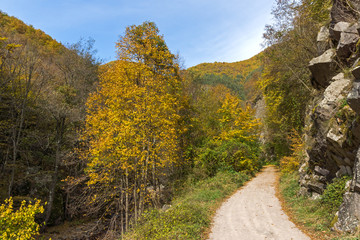Autumn view of Ecotrail Struilitsa and Devin River gorge, Smolyan Region, Bulgaria