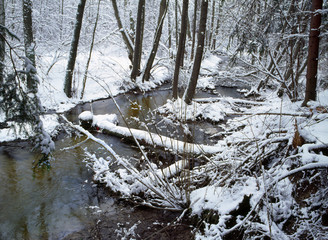 Mroga river in winter and forest covered with snow, lodzkie region, Poland