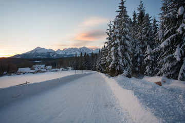 view from Polana Zgorzelisko to the Tatra Mountains, Poland © Maciej