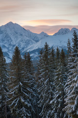 view to the Tatra Mountains, Tatra National Park, Poland and Slovakia