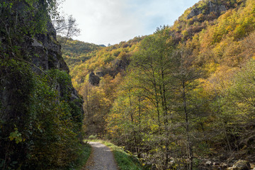 Fototapeta na wymiar Autumn view of Ecotrail Struilitsa and Devin River gorge, Smolyan Region, Bulgaria