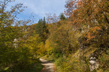 Autumn view of Ecotrail Struilitsa and Devin River gorge, Smolyan Region, Bulgaria