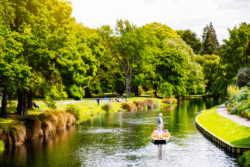 View of the river in Christchurch Botanic garden. - obrazy, fototapety, plakaty