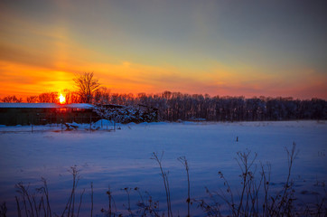 Fototapeta premium Winter Landscape with Snowy Forest at sunset