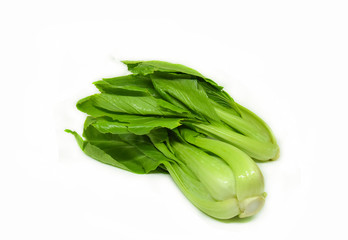 bok choy isolated / fresh green bok choy vegetable or chinese cabbage isolated on white