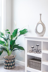 white decoration with green plant