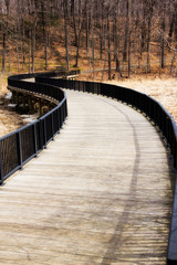 windy wooden pathway into the forest