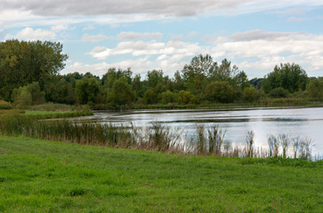 Rural Pond with Cattails and Green Grass with Cloudy Sky