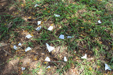 chão grama papeis aochão