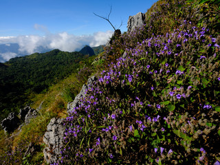 Obraz premium View from mountain 