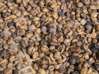 background of raw coffeebeans