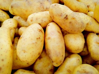 Potato show vol.4