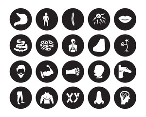 20 vector icon set : Stomach, Male nose of a line, Masculine Chromosomes, Men Chest, Leg, Smiling mouth showing teeth, Nose Side View, Muscle Fiber isolated on black background