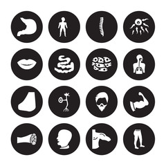 16 vector icon set : Stomach, Men Shoulder, Mouth Open, Muscle Fiber, Muscular arm, Leg, Smiling mouth showing teeth, Nose Side View, Skin Cells isolated on black background