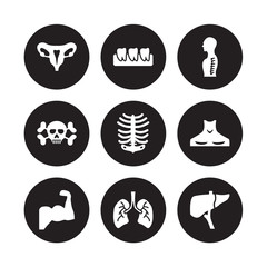 9 vector icon set : Human Uterus, Teeth, Muscle, Neck, Ribs, Spine, skull with crossed bones, Lungs isolated on black background