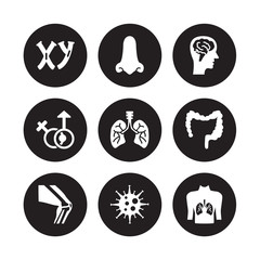 9 vector icon set : Masculine Chromosomes, Male nose of a line, Kneecap, Large Intestine, Lungs with the trachea, head side view brains isolated on black background