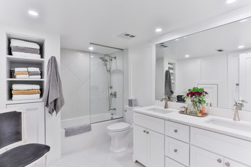 Bathroom Interior Design