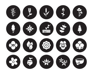 20 vector icon set : Rosemary, Neroli, Nymphea, Oak, Oleander, Poppy, Pinnate, Peony, Petunia, Poinsettia, Reed isolated on black background
