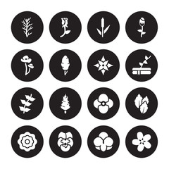 16 vector icon set : Rosemary, Orchid, Pansy, Peony, Peppermint, Oleander, Poppy, Pinnate, Poinsettia isolated on black background