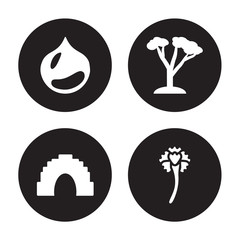 4 vector icon set : Chestnut, cave, Cedar, Carnation isolated on black background