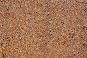 Sand texture and water