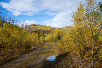 Fototapeta na wymiar Beautiful autumn in the mountains East of Russia Khabarovsk Region. Autumn in the forest in a mountain region of Khabarovsk region of Russia.