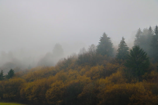 fog in mountains