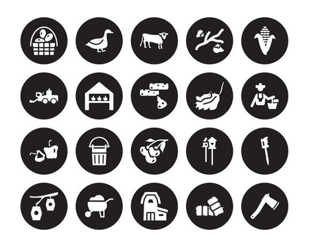 20 vector icon set : Egg, Bale, Barn, Barrow, Beehive, Corn, Caterpillar, berry, Capsicum, Chicken coop, Cow isolated on black background