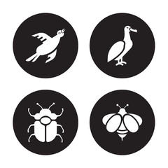 4 vector icon set : Bird, Beetle, albatross, Bee isolated on black background