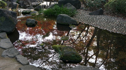水面と紅葉