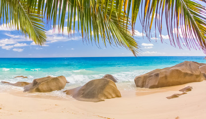 Fototapeta na wymiar plage paradisiaque des Seychelles 