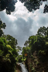 Whispers of the Sky: Trees Embracing the Clouds