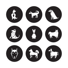 9 vector icon set : Austrailian Shepard dog, Anatolian Shepherd Dog Alaskan Klee Kai American Eskimo Hairless Terrier dog isolated on black background