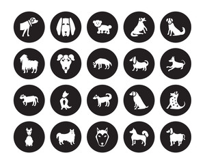 20 vector icon set : Boerboel dog, Akita Alaskan Klee Kai American Eskimo Dog Hairless Terrier Berger Picard dog isolated on black background