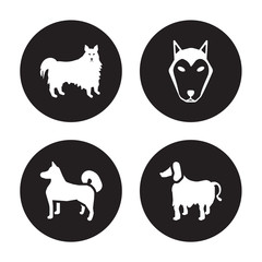 4 vector icon set : American Eskimo Dog dog, Akita Alaskan Klee Kai Afghan Hound dog isolated on black background