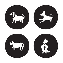4 vector icon set : Basset Hound dog, Barbet Basenji Austrailian Shepard dog isolated on black background