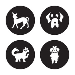 4 vector icon set : Mexican Hairless Dog dog, Maltipoo Mastiff Maltese dog isolated on black background