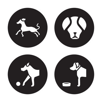 4 vector icon set : Greyhound dog, Great Dane Pyrenees Golden Retriever dog isolated on black background