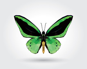 Low polygon butterfly green wings black stripe isolated on white background, fresh verdant insects flying. Logo icon geometric. Bug polygonal crystal style.