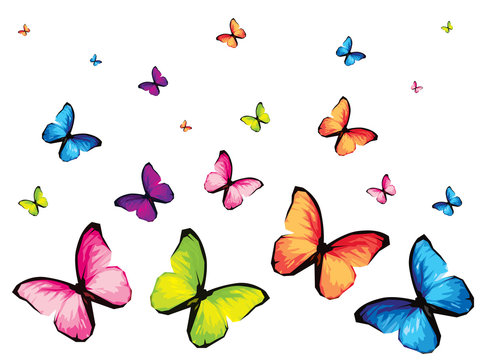 Set of six colorful butterfly isolated on white background, yellow green blue red pink wings insects flying. Pattern logo geometric. Bug polygonal crystal style.